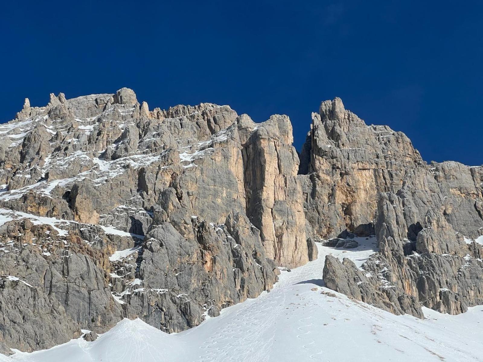 Chalet Tschattlhof Dolomites Villa Cavalese Eksteriør bilde