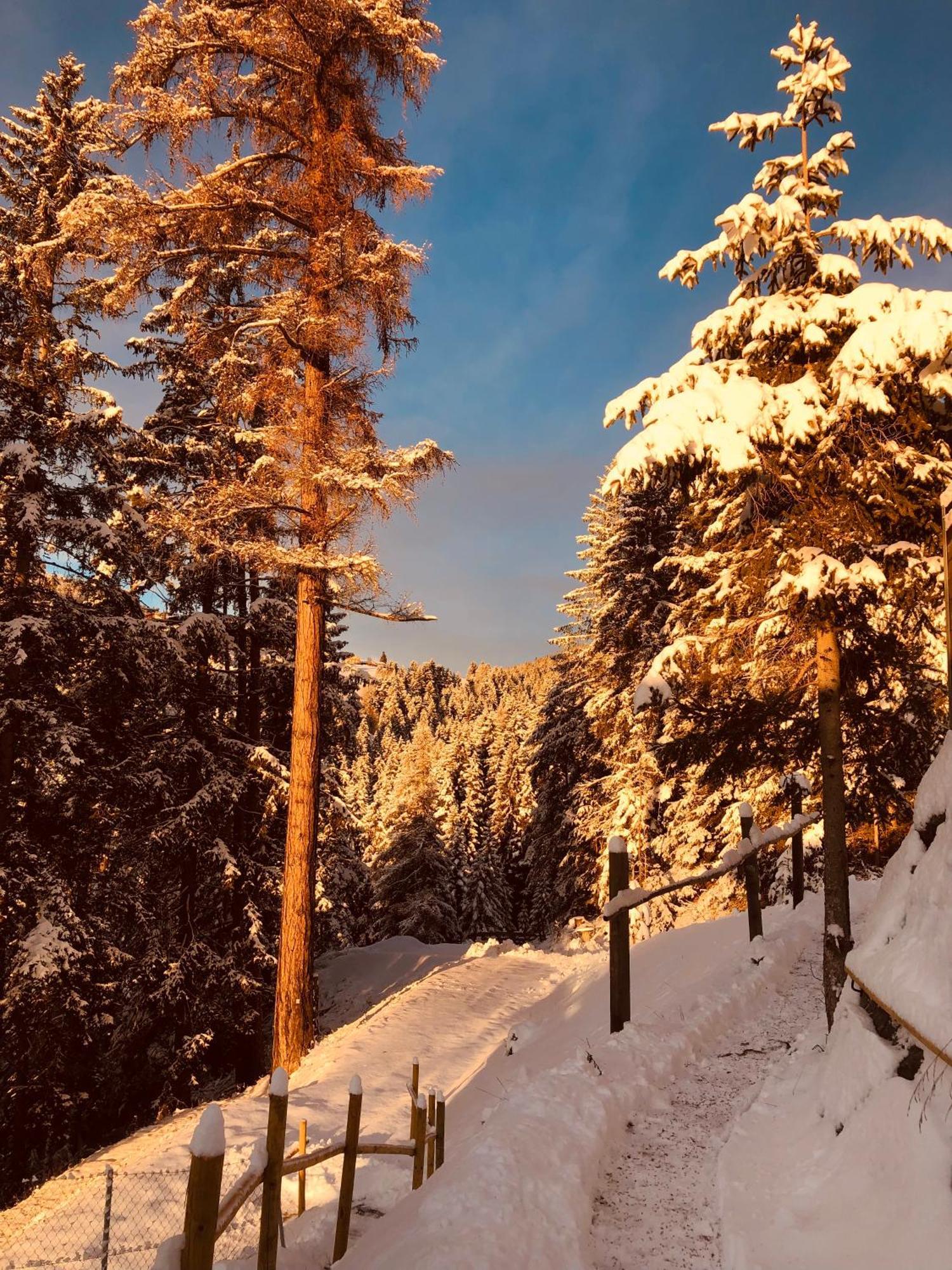 Chalet Tschattlhof Dolomites Villa Cavalese Eksteriør bilde