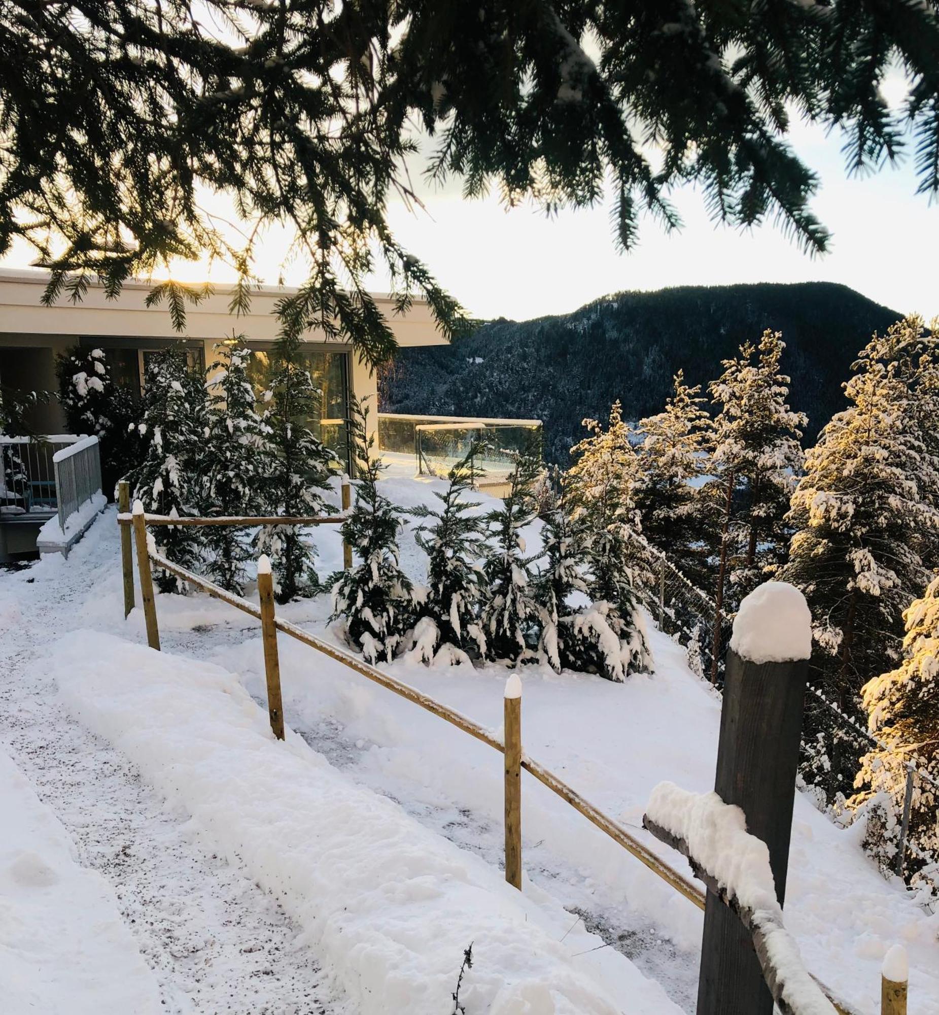 Chalet Tschattlhof Dolomites Villa Cavalese Eksteriør bilde