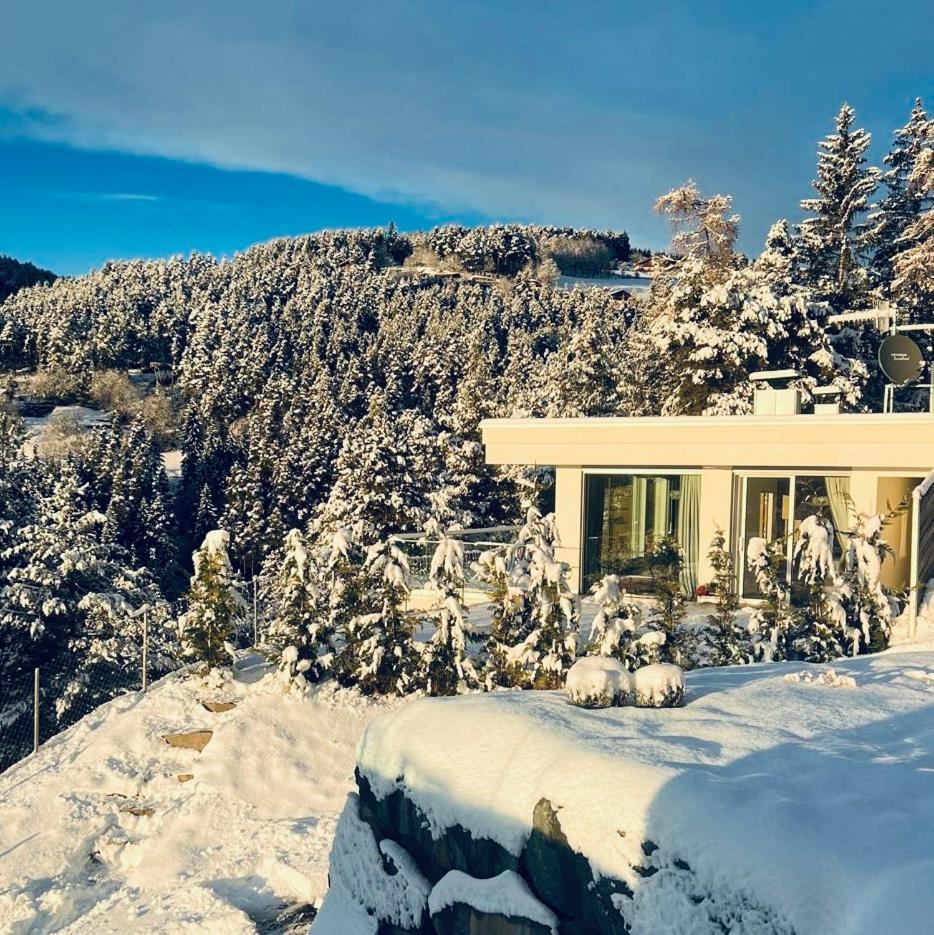 Chalet Tschattlhof Dolomites Cavalese Eksteriør bilde